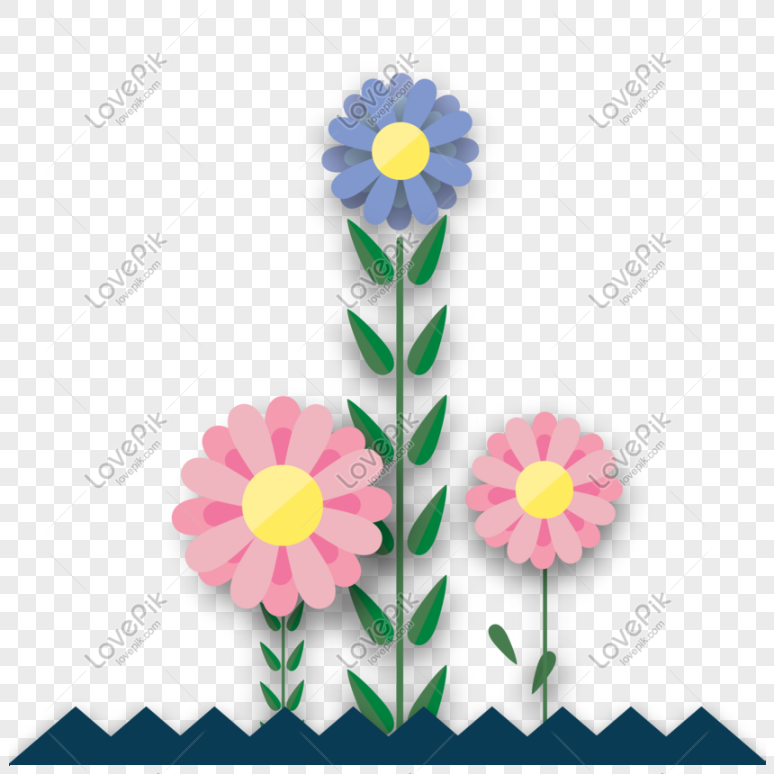 860x860 Cartoon Botanical Illustration Daisies Vector Png Image Picture