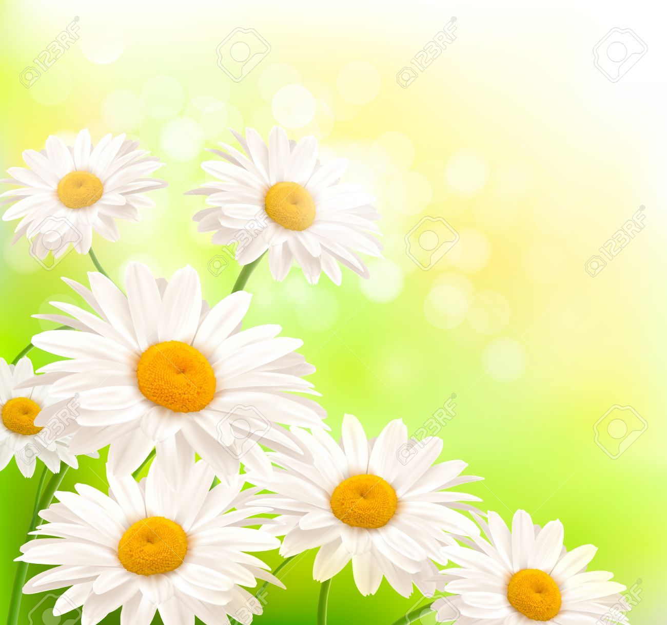 1300x1217 Stock Vector In Summer Backgrounds, Background
