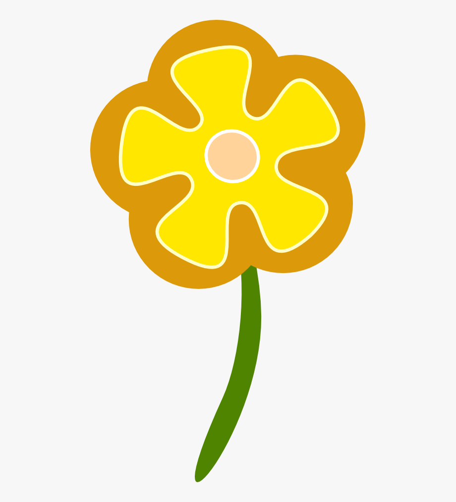 920x1013 Valentine Daisy Flower Weed Plant