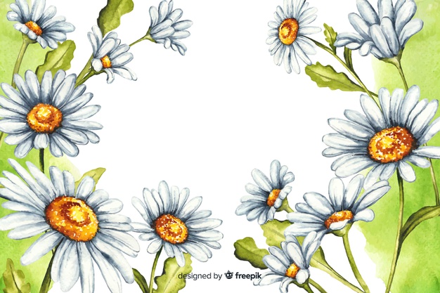626x417 Watercolor Natural Background With Daisies Vector Free Download