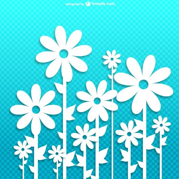 626x626 Daisies Background