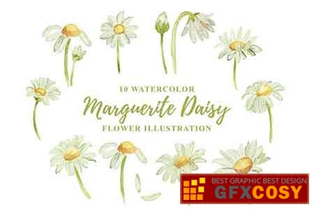 Daisy Vector Free Download