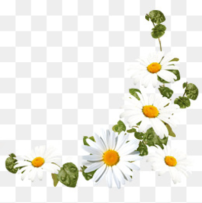Daisy Flower Png 399x401 Daisy Flower Png