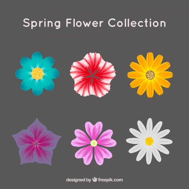 Daisy Vectors, Photos And Free Download 626x626 Daisy Vectors, Photos And Free Download