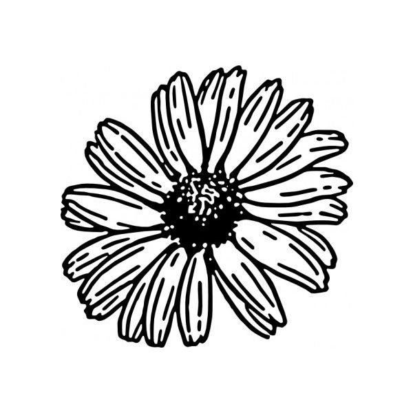 Daisy Clip Art Vector Clip Art Free Vector For Free Download 600x600 Daisy Clip Art Vector Clip Art Free Vector For Free Download