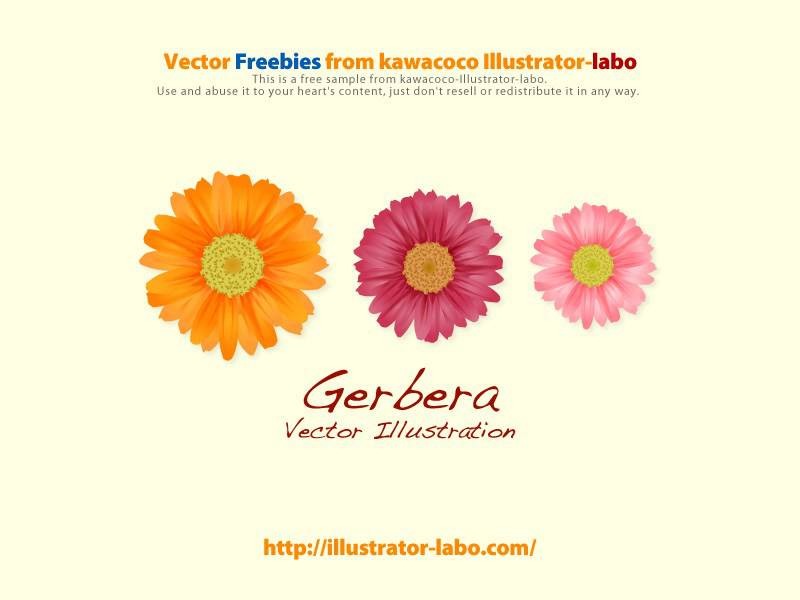 Daisy Vector Vector Biology Free Vector Download 800x600 Daisy Vector Vector Biology Free Vector Download