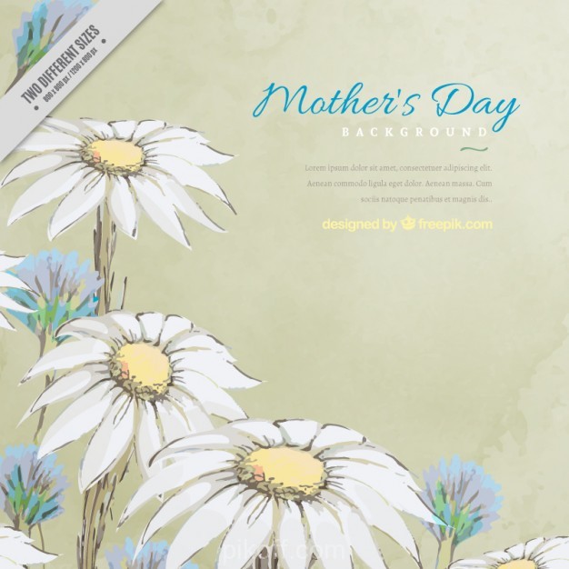 Hand Drawn Daisies Mother's Day Background Vector Free 626x626 Hand Drawn Daisies Mother's Day Background Vector Free