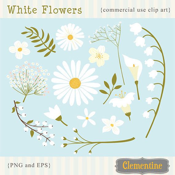 White Flowers Clip Art Images, White Flowers Vector, Royalty Free 570x570 White Flowers Clip Art Images, White Flowers Vector, Royalty Free