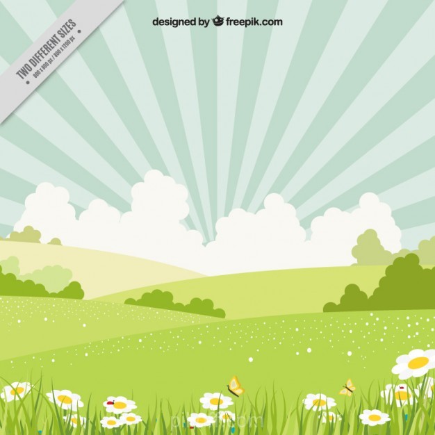 Spring Landscape With Daisies Vector Free Download 626x626 Spring Landscape With Daisies Vector Free Download