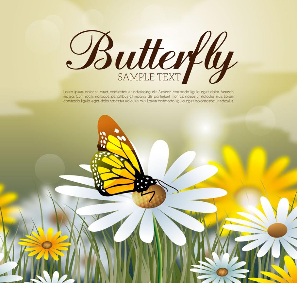 Beautiful Honey Daisy Flowers Butterflies Vector Free Vector 982x933 Beautiful Honey Daisy Flowers Butterflies Vector Free Vector