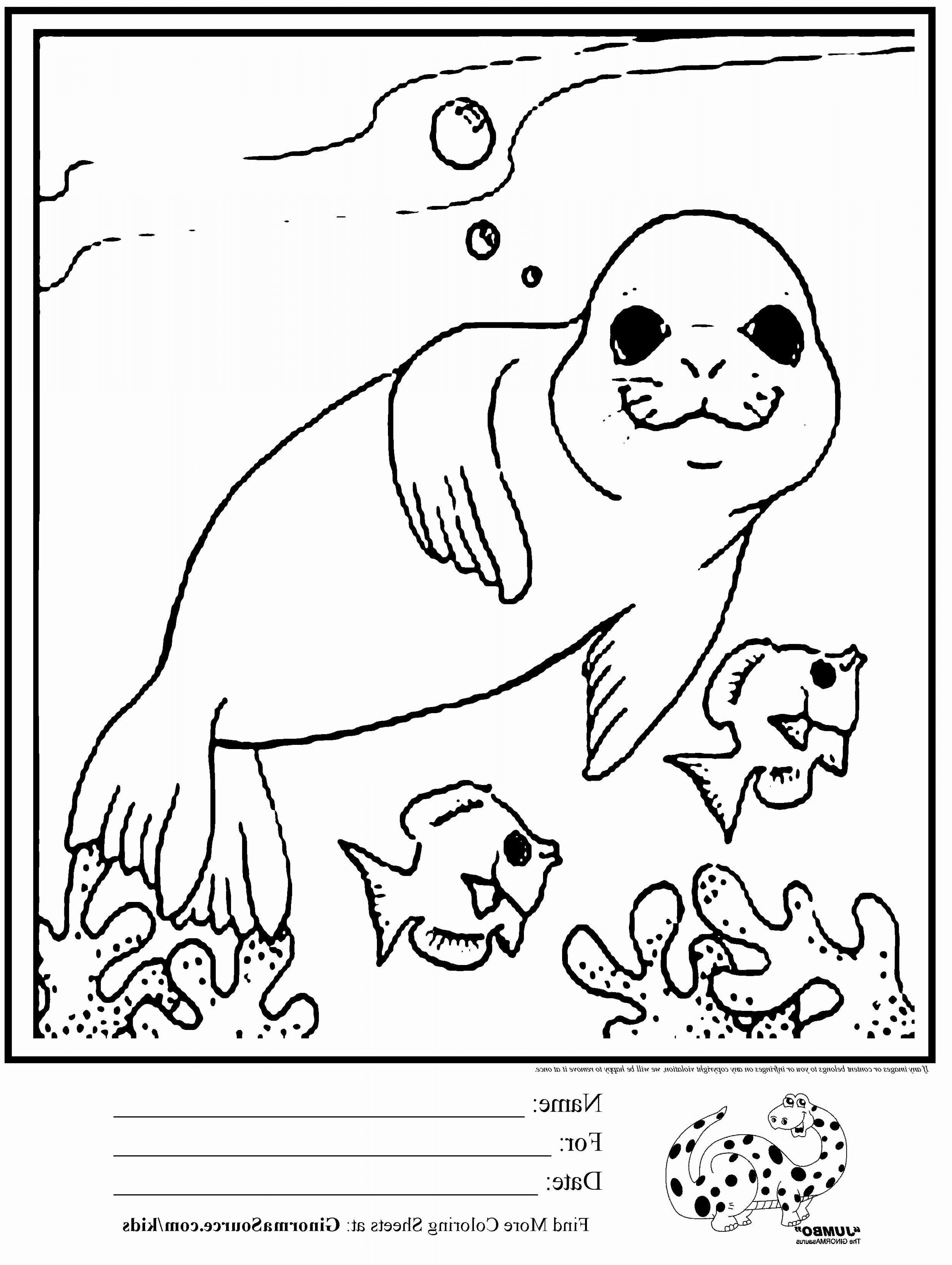 2991x3972 Dallas Cowboy Logo Vector Elegant Cowboy And Cowgirl Coloring