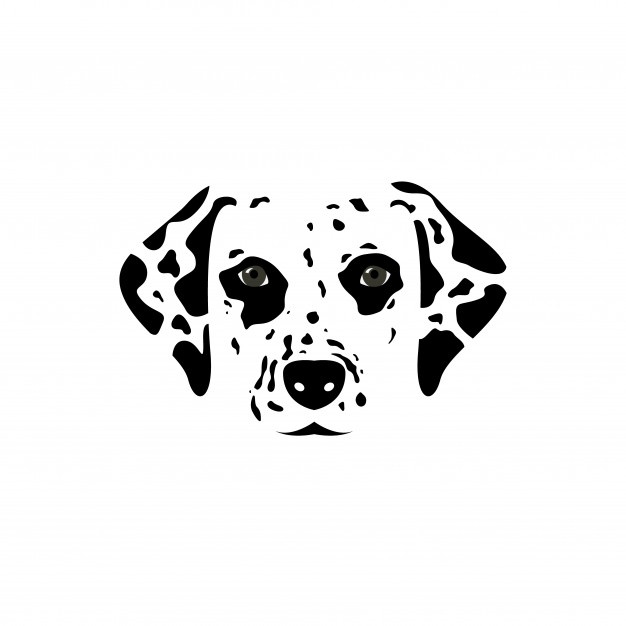 Dalmatian Vectors, Photos And Free Download 626x626 Dalmatian Vectors, Photos And Free Download