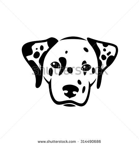 Dalmatian Dog 450x470 Dalmatian Dog