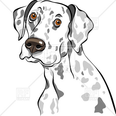 Dalmatian Portrait Vector Image Of Plants And Animals 400x400 Dalmatian Portrait Vector Image Of Plants And Animals