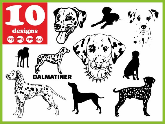 Dalmatian Digital Dog Download Silhouette Vector Etsy 570x430 Dalmatian Digital Dog Download Silhouette Vector Etsy