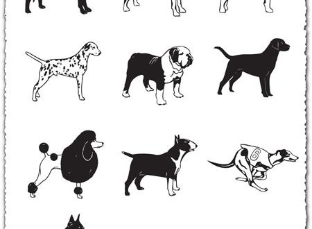 Dalmatian Vector Vectors For Download 450x330 Dalmatian Vector Vectors For Download