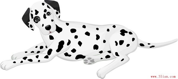 Dalmatian Vector Free Vector Download 600x267 Dalmatian Vector Free Vector Download