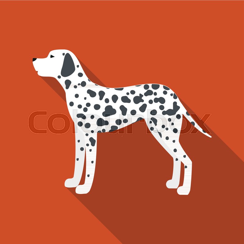 Dalmatian Vector Illustration Icon In Stock Vector Colourbox 800x800 Dalmatian Vector Illustration Icon In Stock Vector Colourbox