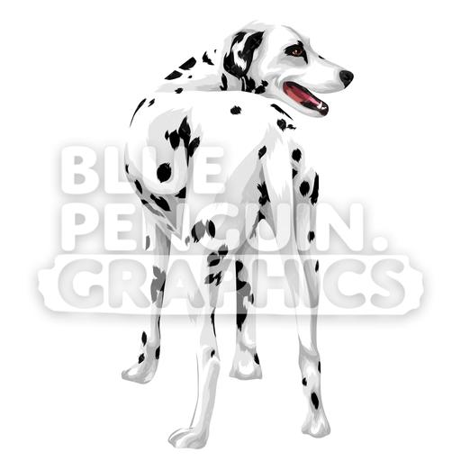 512x512 Dalmatian Version Vector Clipart Illustration Blue Penguin