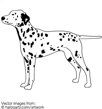 Dalmatian Vector at Vectorified.com | Collection of Dalmatian Vector ...