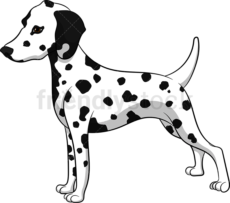 Dalmatian Vector at Vectorified.com | Collection of Dalmatian Vector ...