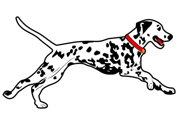 Dalmatian Dog Run Vector Illustration 700x490 Dalmatian Dog Run Vector Illustration