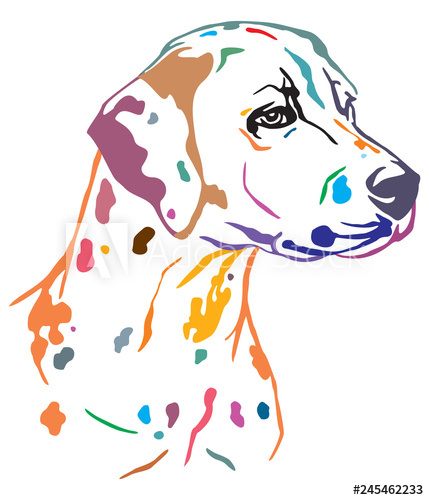 Colorful Decorative Portrait Of Dog Dalmatian Vector Illustration 429x500 Colorful Decorative Portrait Of Dog Dalmatian Vector Illustration