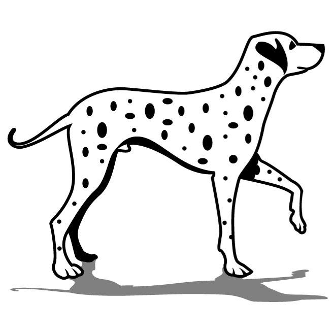 Dalmatian Dog Vector Art 660x660 Dalmatian Dog Vector Art