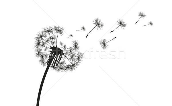 600x372 Dandelion Silhouette Vector Illustration