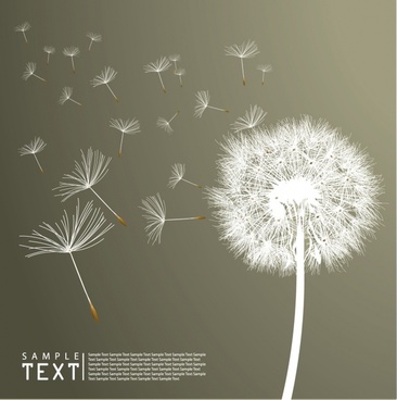 366x368 Dandelion Free Vector Download