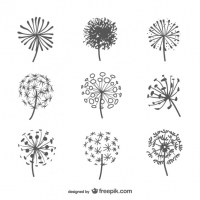 200x200 Dandelion Free Vector Graphic Art Free Download