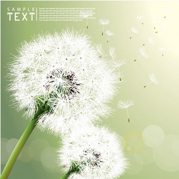 368x368 Dandelion Silhouette Free Vector Download
