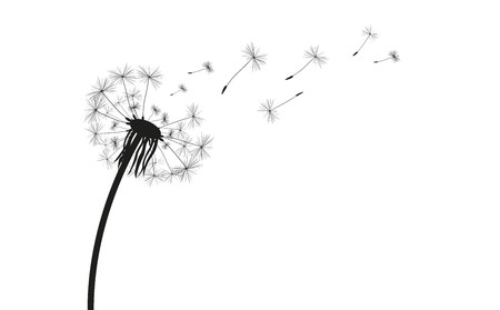 450x279 Dandelion Silhouette On The White Vector File Royalty