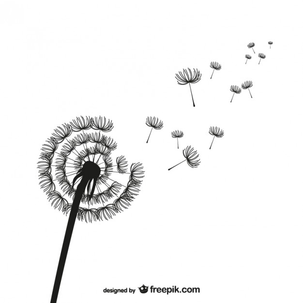 626x626 Dandelion Silhouette Vector Vector Free Download
