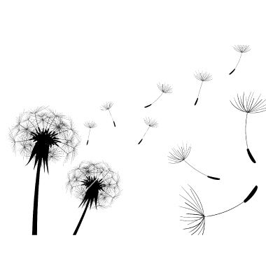 380x400 Dandelion Vector