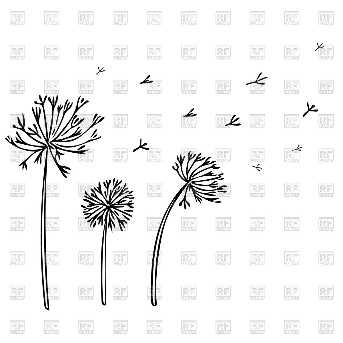 1200x1200 Abstract Dandelion Background With Black Flowers Vector Image