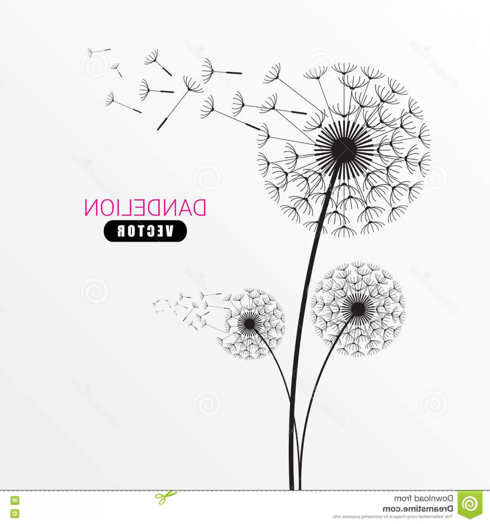 1560x1668 Stock Illustration Dandelion Silhouette Flying Dandelion Buds