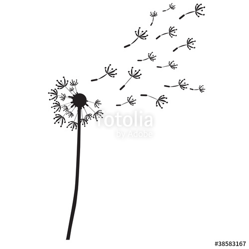 500x500 Dandelion Vector Outline Silhouette Stock Photo And Royalty Free