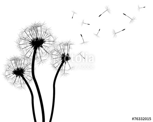 500x400 Collection Of 'dandelion Silhouette Vector Free' Download More