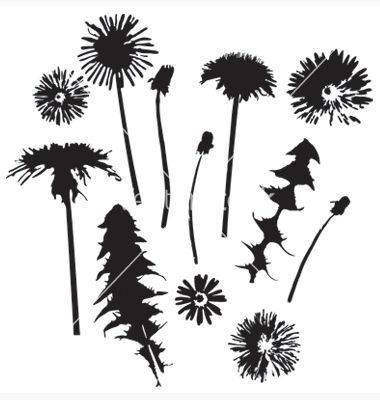 380x400 Dandelion Silhouette Clipart Art