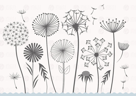 570x403 Dandelion Vector, Dandelion Clipart, Flower Clipart, Floral