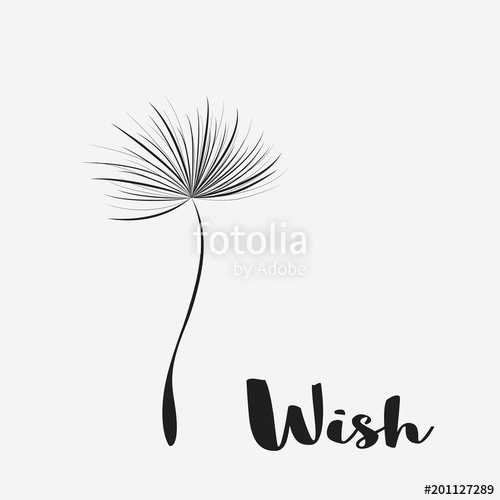 500x500 Dandelion Vector Wish Simple Minimalist Style Stock Image