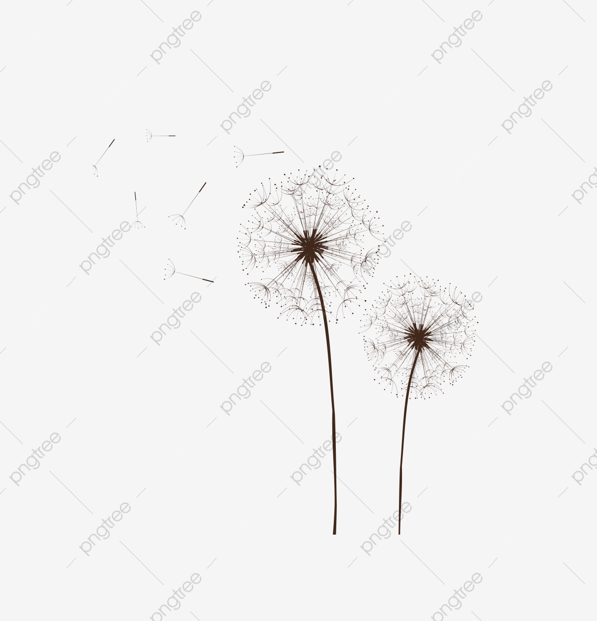 1200x1250 Dandelion Blown Dandelion, Dandelion, Blown Dandelion, Dandelion