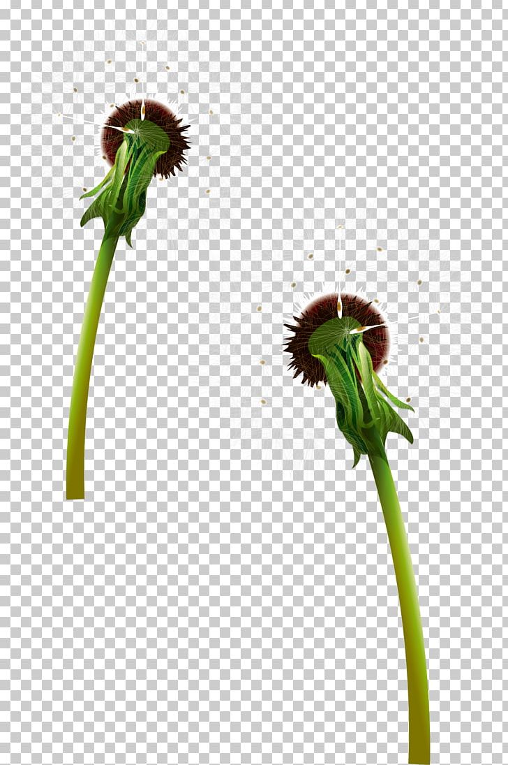 728x1095 Dandelion Euclidean Flower Png, Clipart, Ado, Cdr, Dandelions