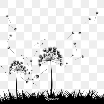 360x360 Dandelion Vector, Free Download Dandelions, Dandelion Vector