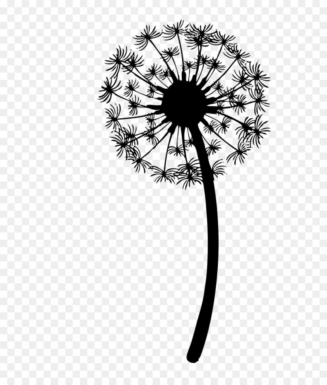 Dandelion Vector Png at Vectorified.com | Collection of Dandelion ...