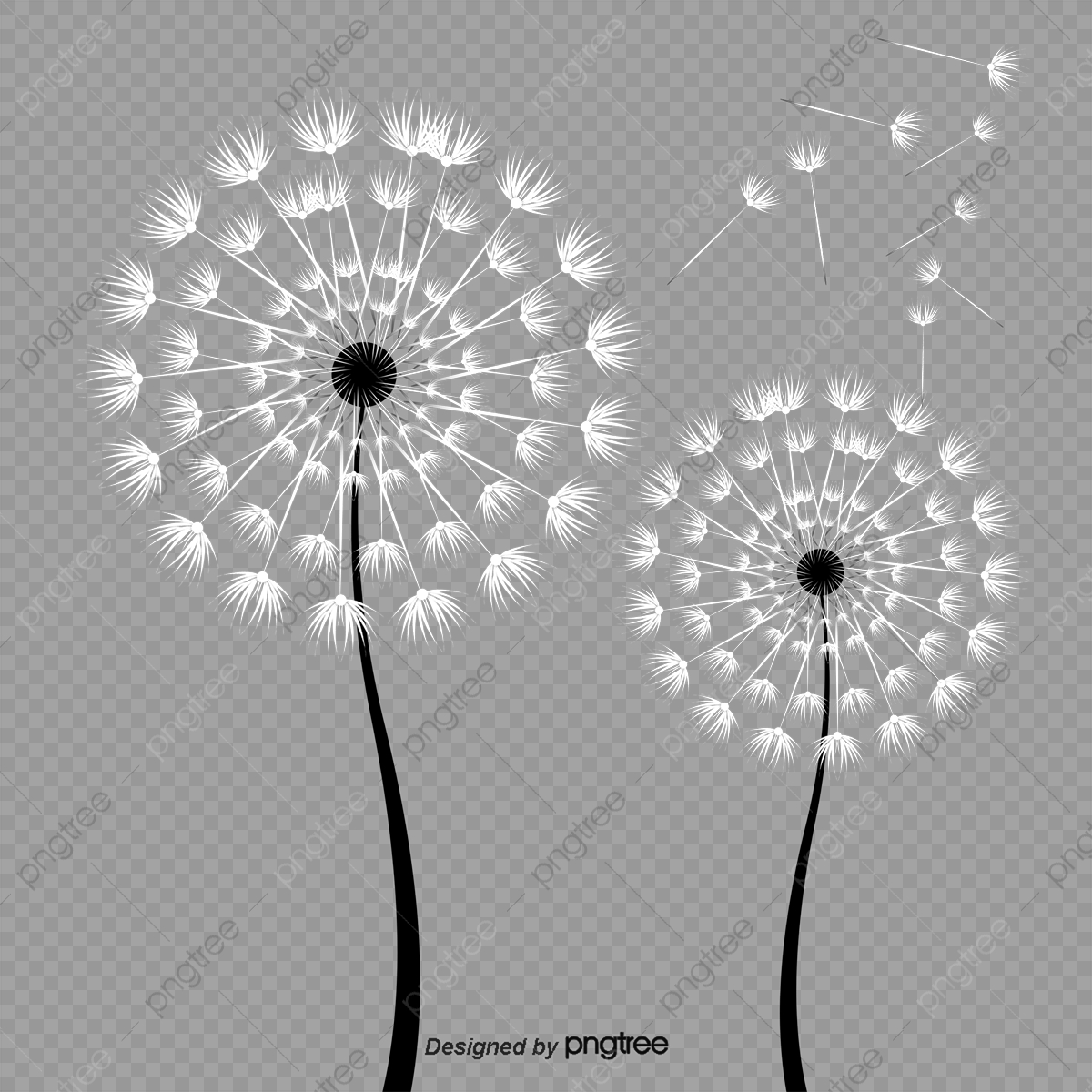 1200x1200 Dandelion Vector Material, Dandelion, Hand Painted Dandelion