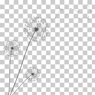 310x310 Dandelion Vector Png Cliparts For Free Download Uihere