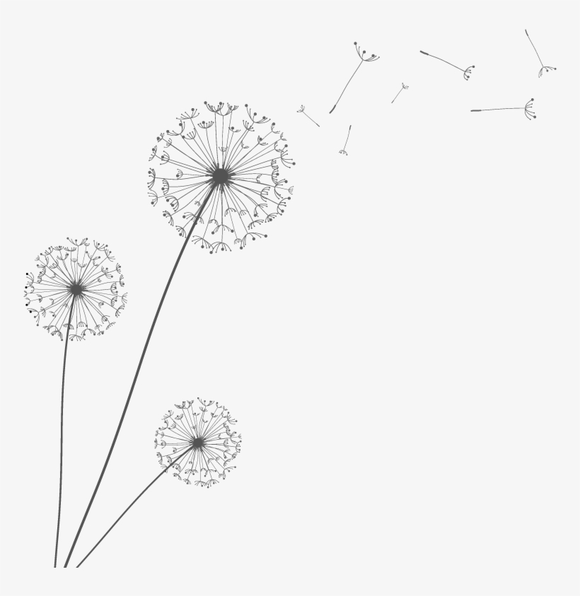 820x843 Euclidean Vector Dandelion