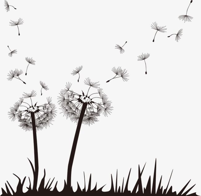 650x635 Vector Hand Painted Dandelion, Hand Painted Dandelion, Dandelion